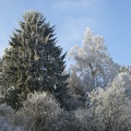 Winter_and_Snow_186.jpg