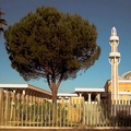 The Roman Mosque in Rome - Italy.jpg