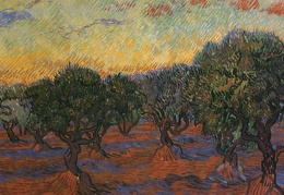 gogh olive-trees