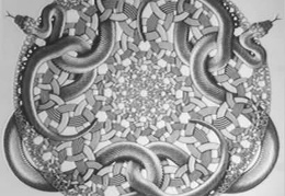 escher-snakes