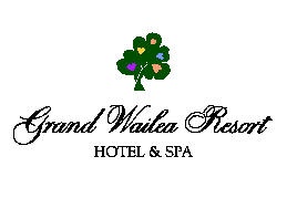 Grand Wailea Resort 27 