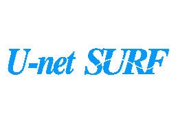 U-net SURF