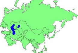 ASIA1
