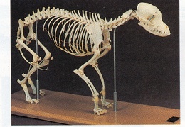 98