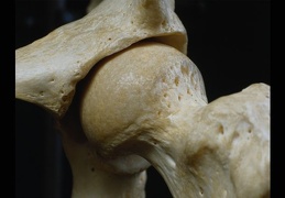 p0401754
