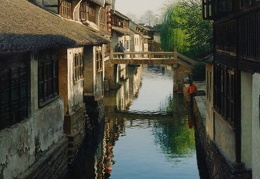 Yihua Wang Canal Scene with Willow 2545 40