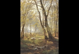 A-Woodland Scene With Deer2