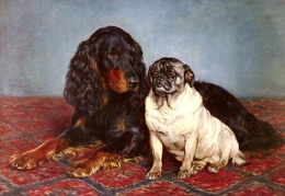 Bache Otto A Spaniel And A Pug