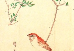 Ando Hiroshige 28 