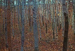Klimt Beech Forest I 1902 oil on canvas Moderne Galerie 