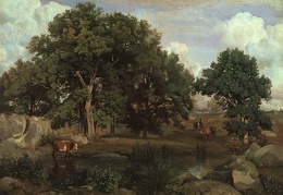 Corot Forest of Fontainebleau 1846 oil on canvas Museum o