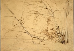 Corot Clump of Trees at Civita Castellana 1826 NG Washingt
