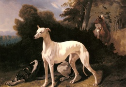 Dreux Alfred De A Greyhound In An Extensive Landscape