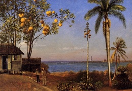 Bierstadt Albert A View in the Bahamas