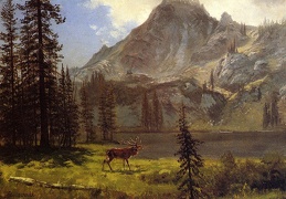 Bierstadt Albert Call of the Wild