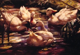 Ducks in a Forest Pond