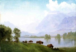 Bierstadt Albert Buffalo Country