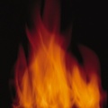 fire (109)