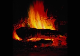 fire (97)