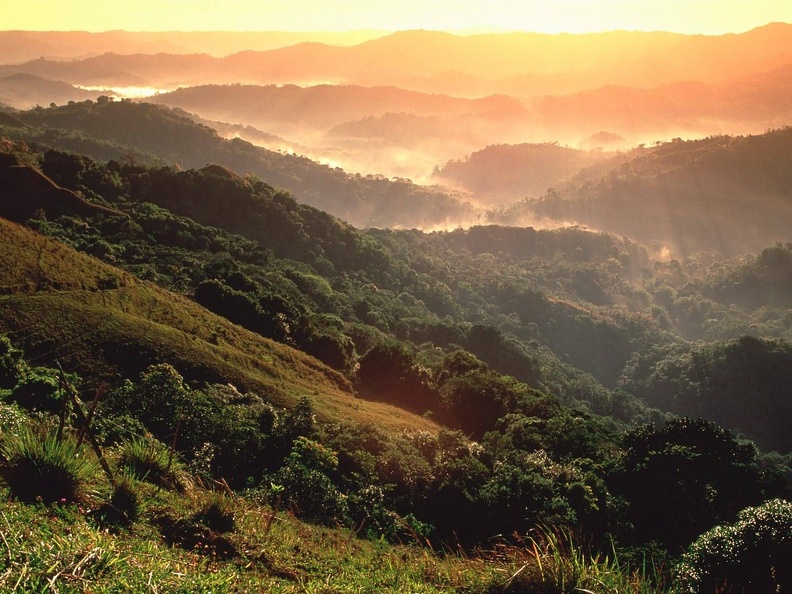 El Yunque Rainforest Puerto Rico - 1600x1200 - ID 38623 - PREMIUM