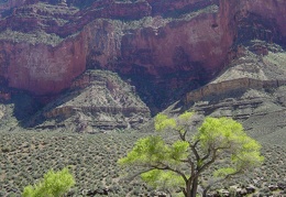 Grand Canyon21