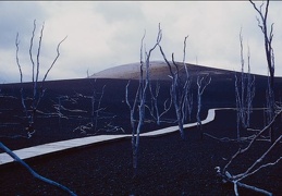 Volcano 31
