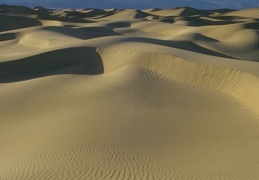 desert  085