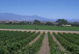 farming field 062