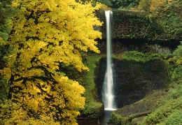 Middle North Falls Silver Falls Oregon - 1600x1200 - ID 33830 - PREMIUM