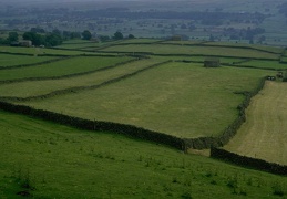farming field 095