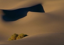 desert  066