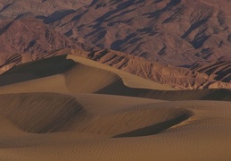 desert  084