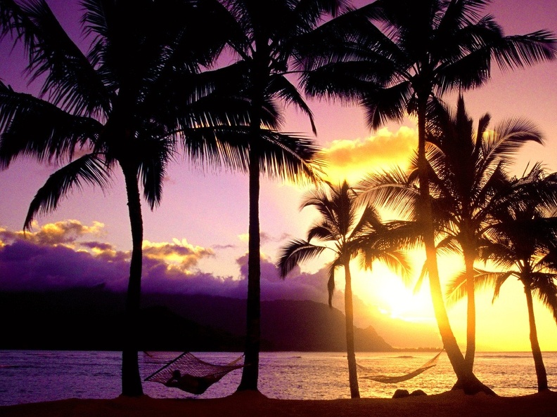An Afternoon in Paradise Kauai Hawaii