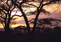 Daybreak Tanzania Africa
