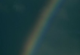 rainbow 16