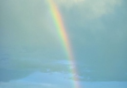 rainbow 18