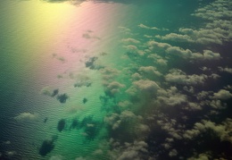 rainbow 5