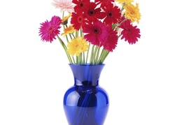 Vase with hollow background 23