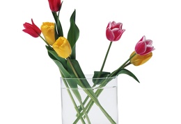 Vase with hollow background 20