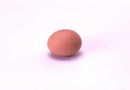 Egg 19