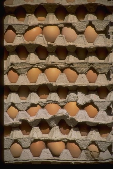 Egg 3
