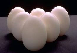 Egg 2
