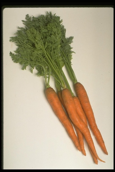 Vegetables 14
