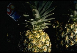 Pineapple 7