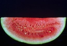 Watermelon 25
