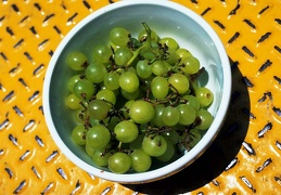 Grape 39