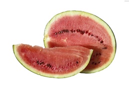 Watermelon 23