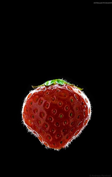Strawberry 100