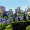 Alcazaba Fortress in Malaga - Spain.jpg