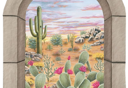 cactus 10